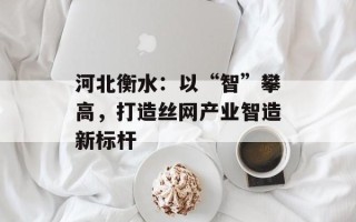 河北衡水：以“智”攀高，打造丝网产业智造新标杆