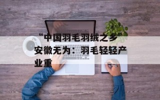 “中国羽毛羽绒之乡”安徽无为：羽毛轻轻产业重