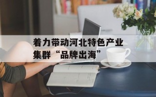 着力带动河北特色产业集群“品牌出海”