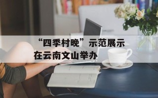 “四季村晚”示范展示在云南文山举办