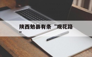 陕西勉县有条“观花路”