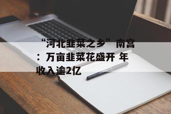 “河北韭菜之乡”南宫：万亩韭菜花盛开 年收入逾2亿-第1张图片-