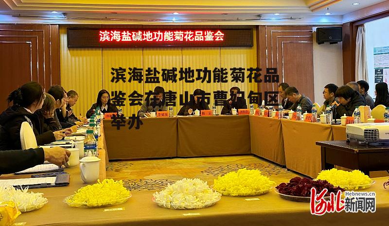 滨海盐碱地功能菊花品鉴会在唐山市曹妃甸区举办-第1张图片-