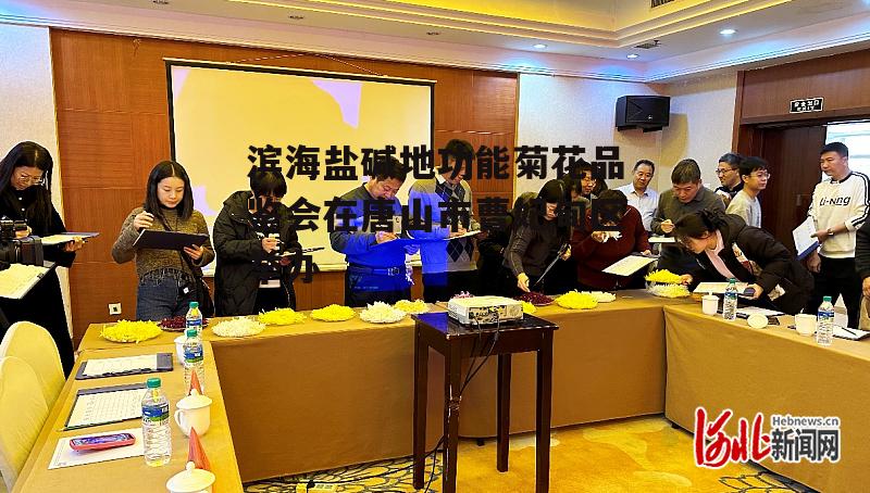 滨海盐碱地功能菊花品鉴会在唐山市曹妃甸区举办-第2张图片-