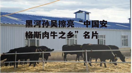 黑河孙吴擦亮“中国安格斯肉牛之乡”名片-第1张图片- 黑河孙吴擦亮“中国安格斯肉牛之乡”名片-第1张图片-