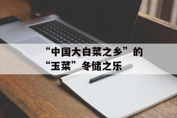“中国大白菜之乡”的“玉菜”冬储之乐-第1张图片-