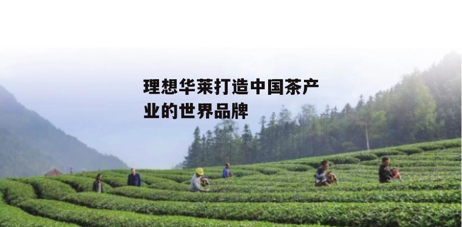 理想华莱打造中国茶产业的世界品牌-第3张图片-