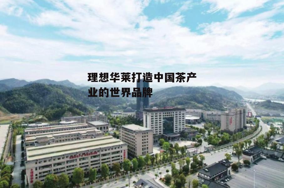理想华莱打造中国茶产业的世界品牌-第6张图片-