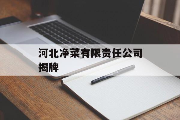 河北净菜有限责任公司揭牌-第1张图片-