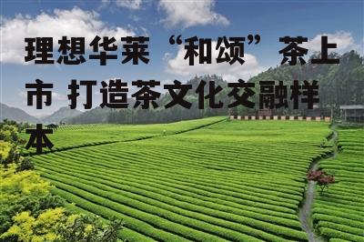 理想华莱“和颂”茶上市 打造茶文化交融样本-第1张图片-
