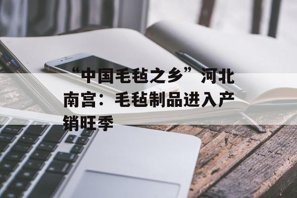 “中国毛毡之乡”河北南宫：毛毡制品进入产销旺季-第1张图片-