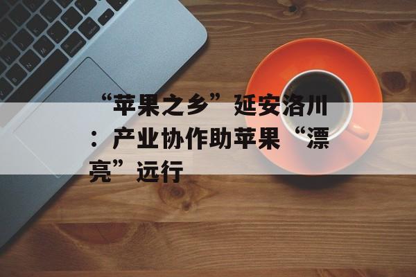 “苹果之乡”延安洛川：产业协作助苹果“漂亮”远行-第1张图片-