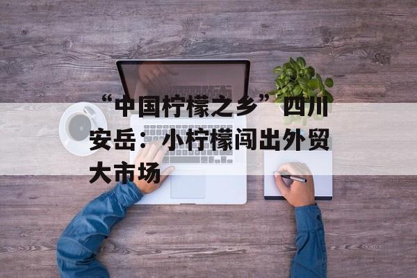 “中国柠檬之乡”四川安岳：小柠檬闯出外贸大市场-第1张图片-