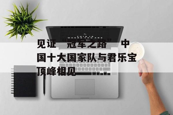 见证“冠军之路” 中国十大国家队与君乐宝顶峰相见-第1张图片-