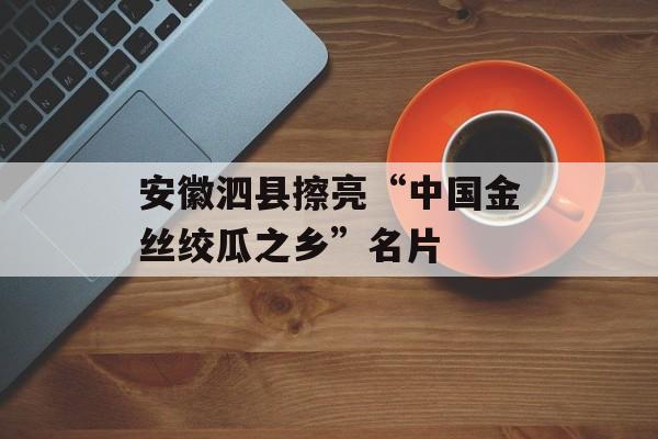 安徽泗县擦亮“中国金丝绞瓜之乡”名片-第1张图片-