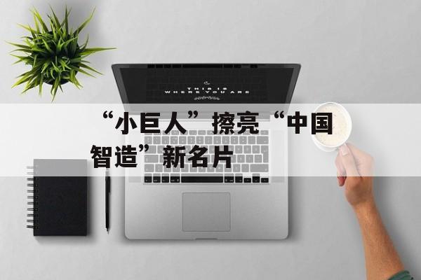 “小巨人”擦亮“中国智造”新名片-第1张图片-