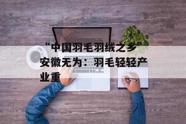 “中国羽毛羽绒之乡”安徽无为：羽毛轻轻产业重-第1张图片-