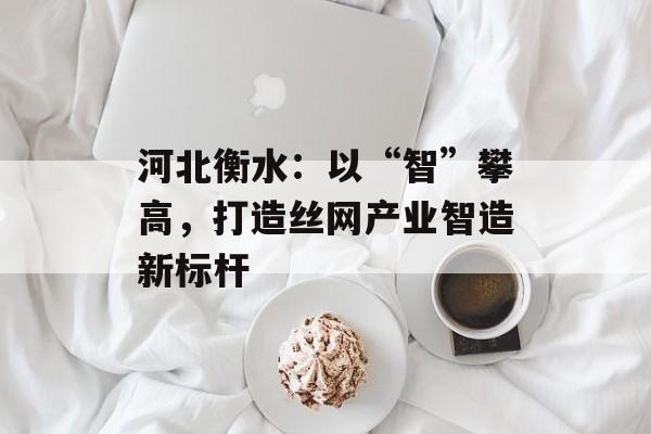 河北衡水：以“智”攀高，打造丝网产业智造新标杆-第1张图片-