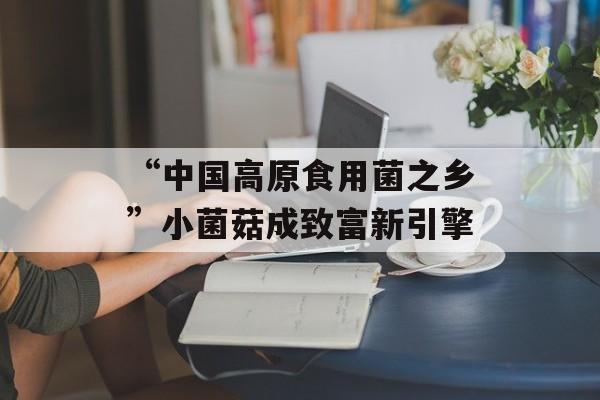 “中国高原食用菌之乡”小菌菇成致富新引擎-第1张图片-