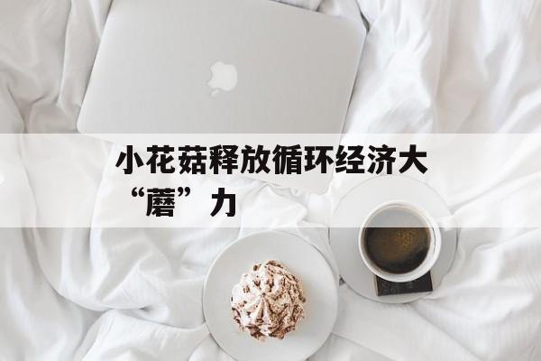 小花菇释放循环经济大“蘑”力-第1张图片-