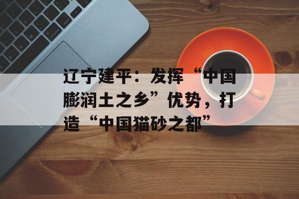 辽宁建平：发挥“中国膨润土之乡”优势，打造“中国猫砂之都”-第1张图片-