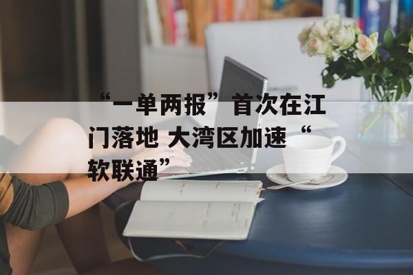 “一单两报”首次在江门落地 大湾区加速“软联通”-第1张图片-