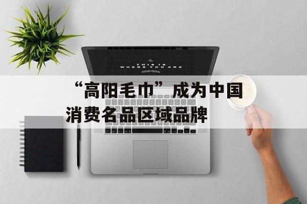 “高阳毛巾”成为中国消费名品区域品牌-第1张图片-