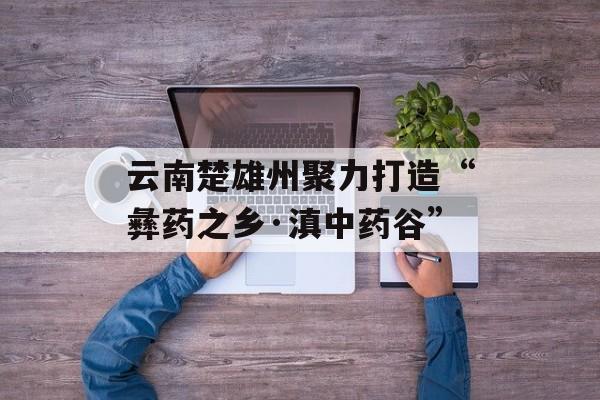 云南楚雄州聚力打造“彝药之乡·滇中药谷”-第1张图片-