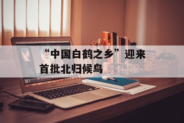 “中国白鹤之乡”迎来首批北归候鸟-第1张图片-