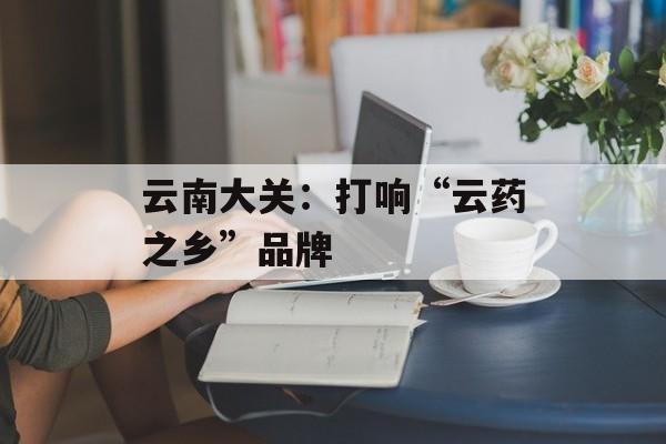 云南大关：打响“云药之乡”品牌-第1张图片-