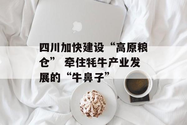 四川加快建设“高原粮仓” 牵住牦牛产业发展的“牛鼻子”-第1张图片-