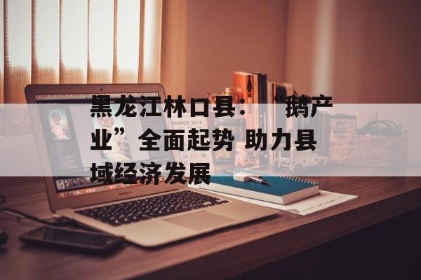 黑龙江林口县：“鹅产业”全面起势 助力县域经济发展-第1张图片-