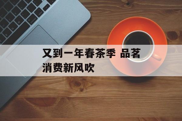 又到一年春茶季 品茗消费新风吹-第1张图片-