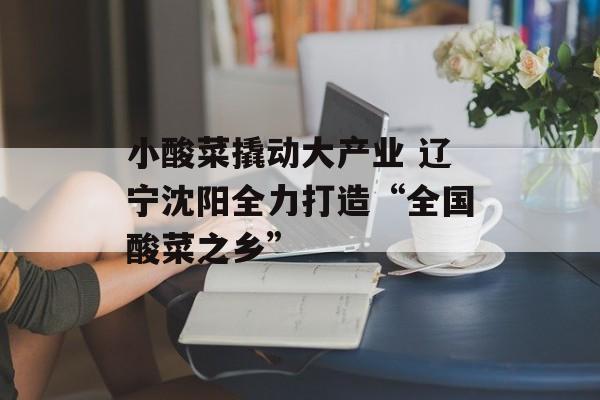 小酸菜撬动大产业 辽宁沈阳全力打造“全国酸菜之乡”-第1张图片-