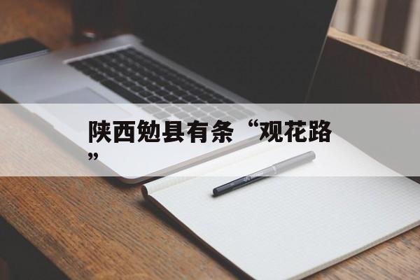 陕西勉县有条“观花路”-第1张图片-