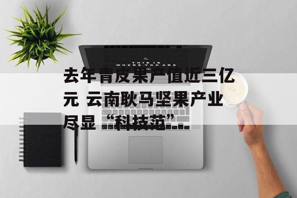 去年青皮果产值近三亿元 云南耿马坚果产业尽显“科技范”-第1张图片-