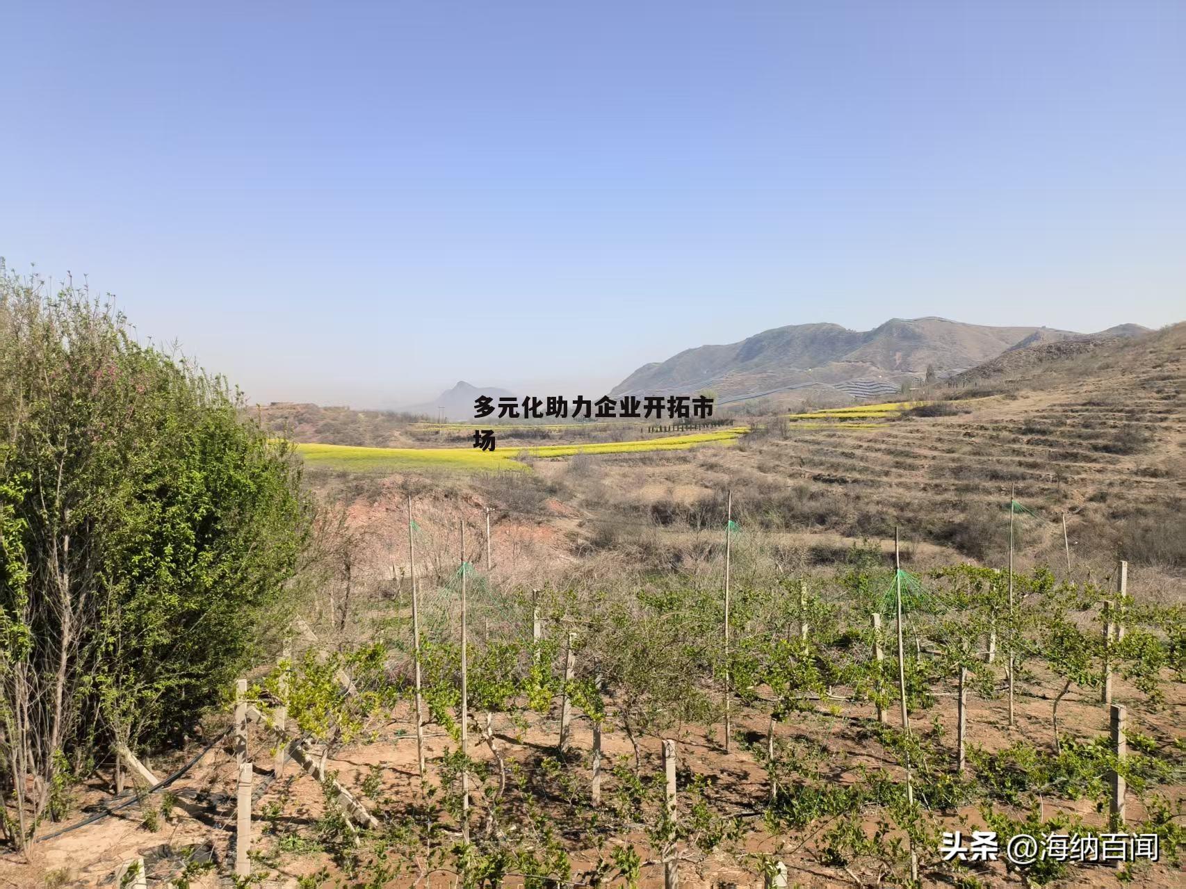 多元化助力企业开拓市场-第2张图片-