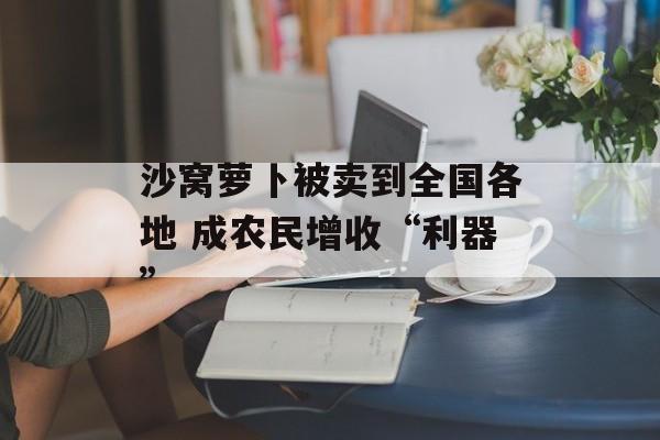 沙窝萝卜被卖到全国各地 成农民增收“利器”-第1张图片-