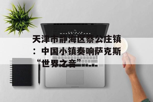 天津市静海区蔡公庄镇：中国小镇奏响萨克斯“世界之音”-第1张图片-