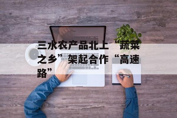 三水农产品北上“蔬菜之乡”架起合作“高速路”-第1张图片-