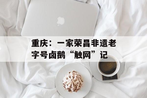 重庆：一家荣昌非遗老字号卤鹅“触网”记-第1张图片-