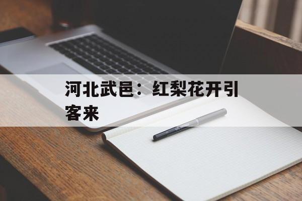 河北武邑：红梨花开引客来-第1张图片-