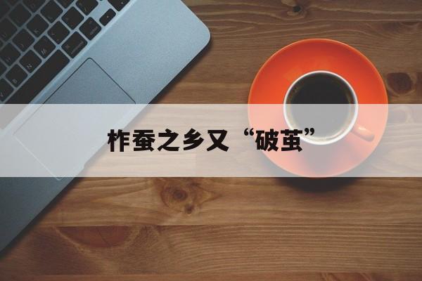 柞蚕之乡又“破茧”-第1张图片-