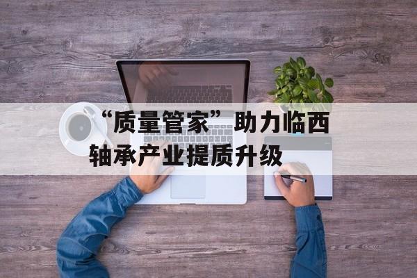 “质量管家”助力临西轴承产业提质升级-第1张图片-