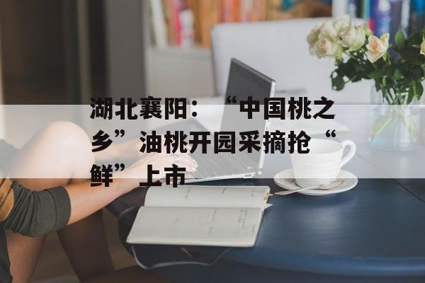 湖北襄阳：“中国桃之乡”油桃开园采摘抢“鲜”上市-第1张图片-