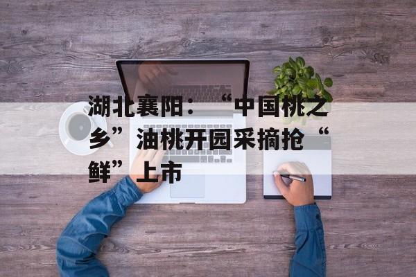 湖北襄阳：“中国桃之乡”油桃开园采摘抢“鲜”上市-第1张图片-