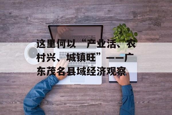 这里何以“产业活、农村兴、城镇旺”——广东茂名县域经济观察-第1张图片-