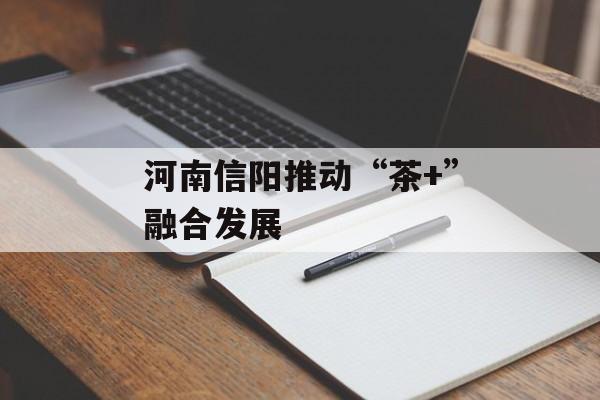 河南信阳推动“茶+”融合发展-第1张图片-
