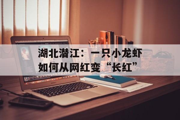湖北潜江：一只小龙虾如何从网红变“长红”-第1张图片-