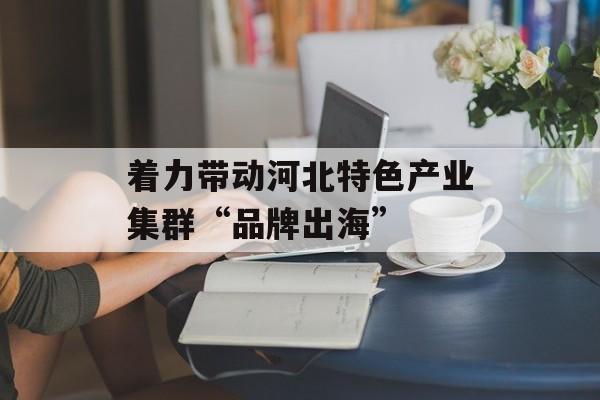 着力带动河北特色产业集群“品牌出海”-第1张图片-